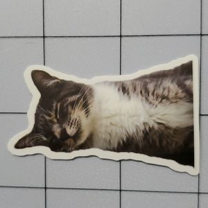 CAT Sticker